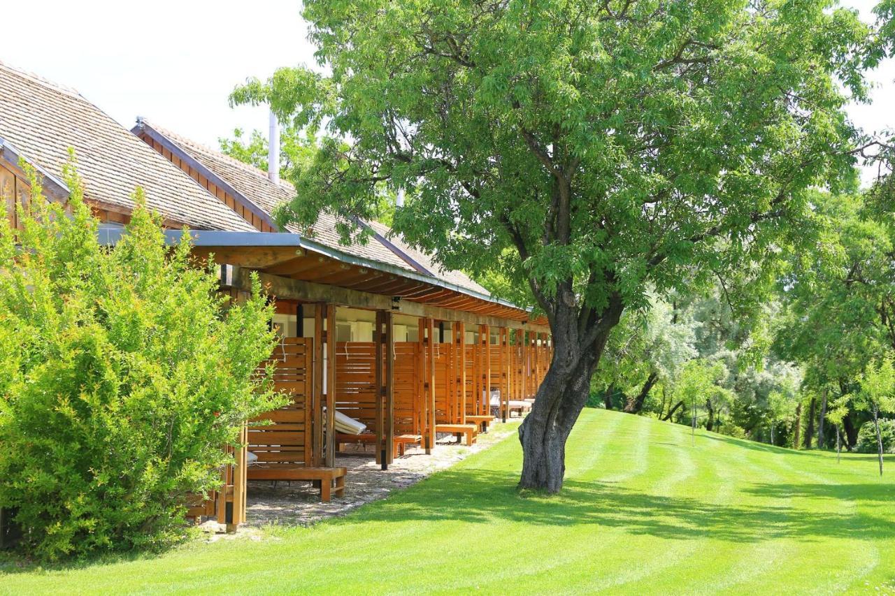 Káli Art Inn Panzió Köveskál Zimmer foto